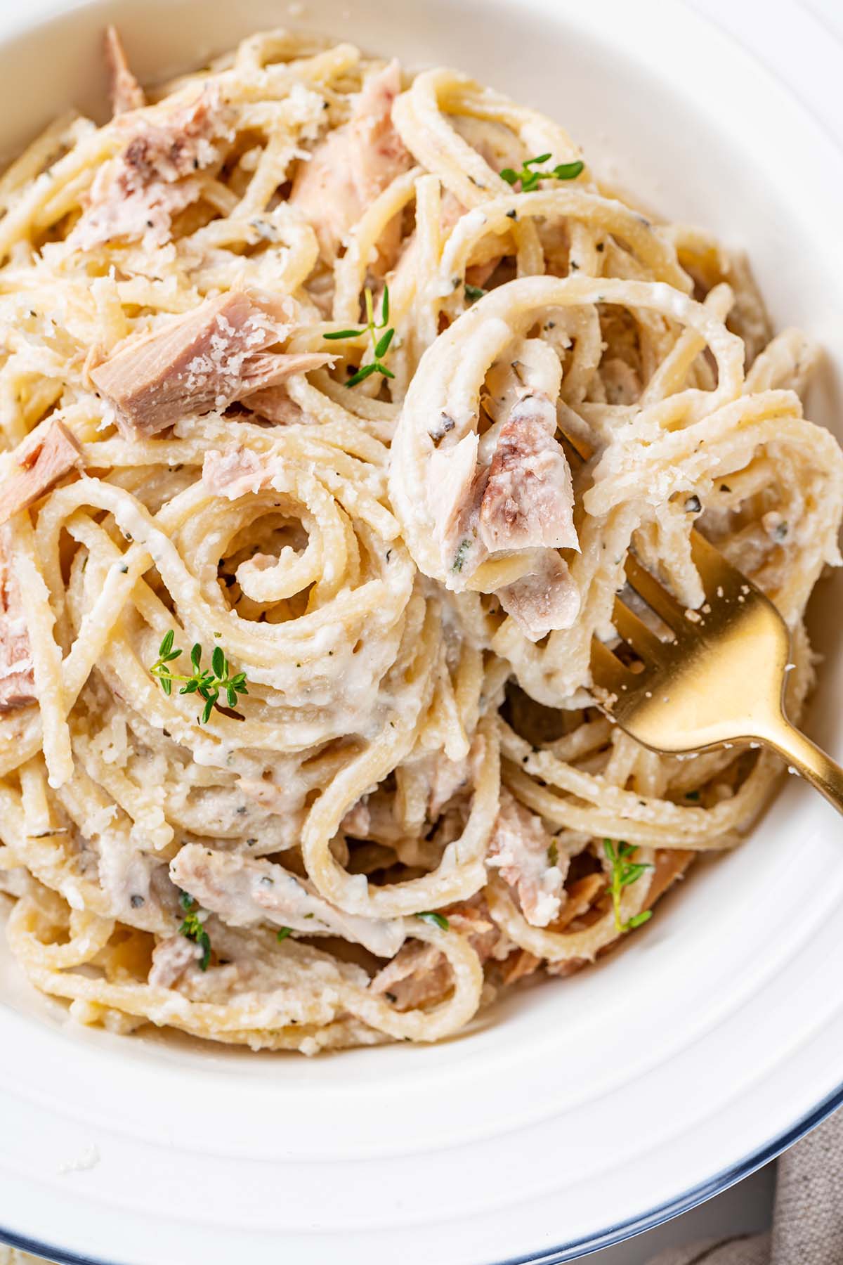 A plate of creamy canned tuna pasta, garnished with grated Parmesan cheese, with a fork holding a delicious bite of the pasta dish