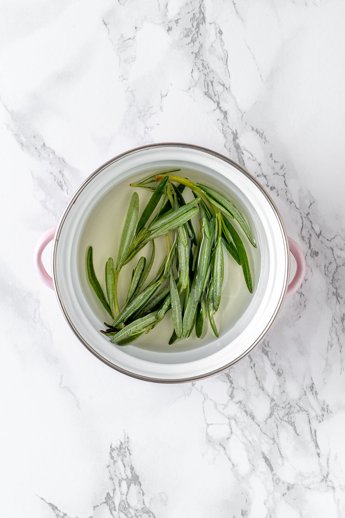Rosemary in water with agave syrup in a pot