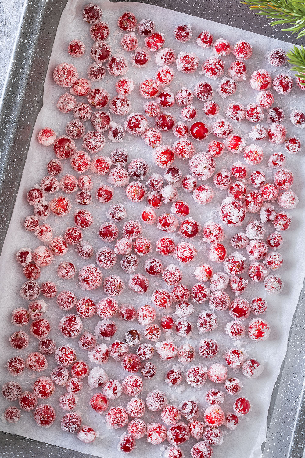 Easy Sugared Cranberries for decoration