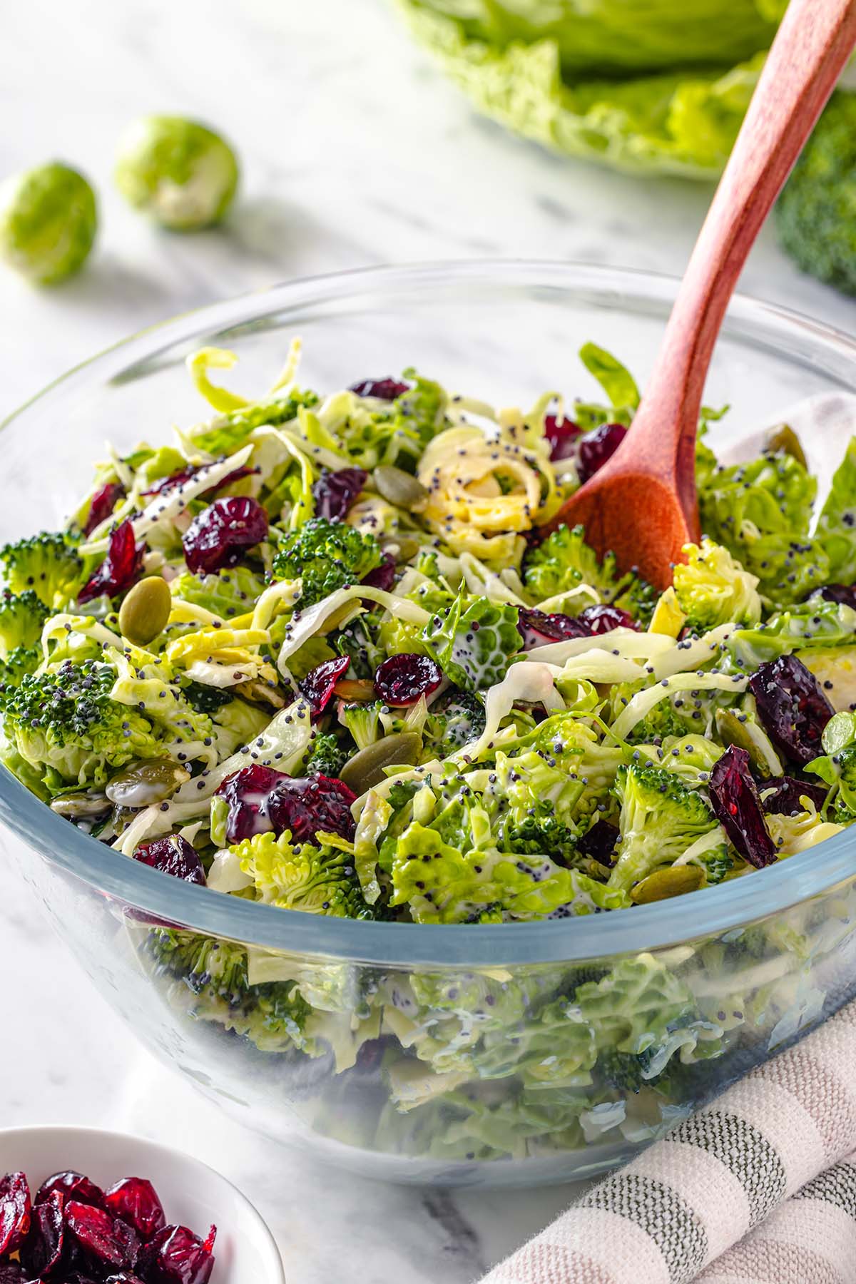 Broccoli Salad with Cranberries