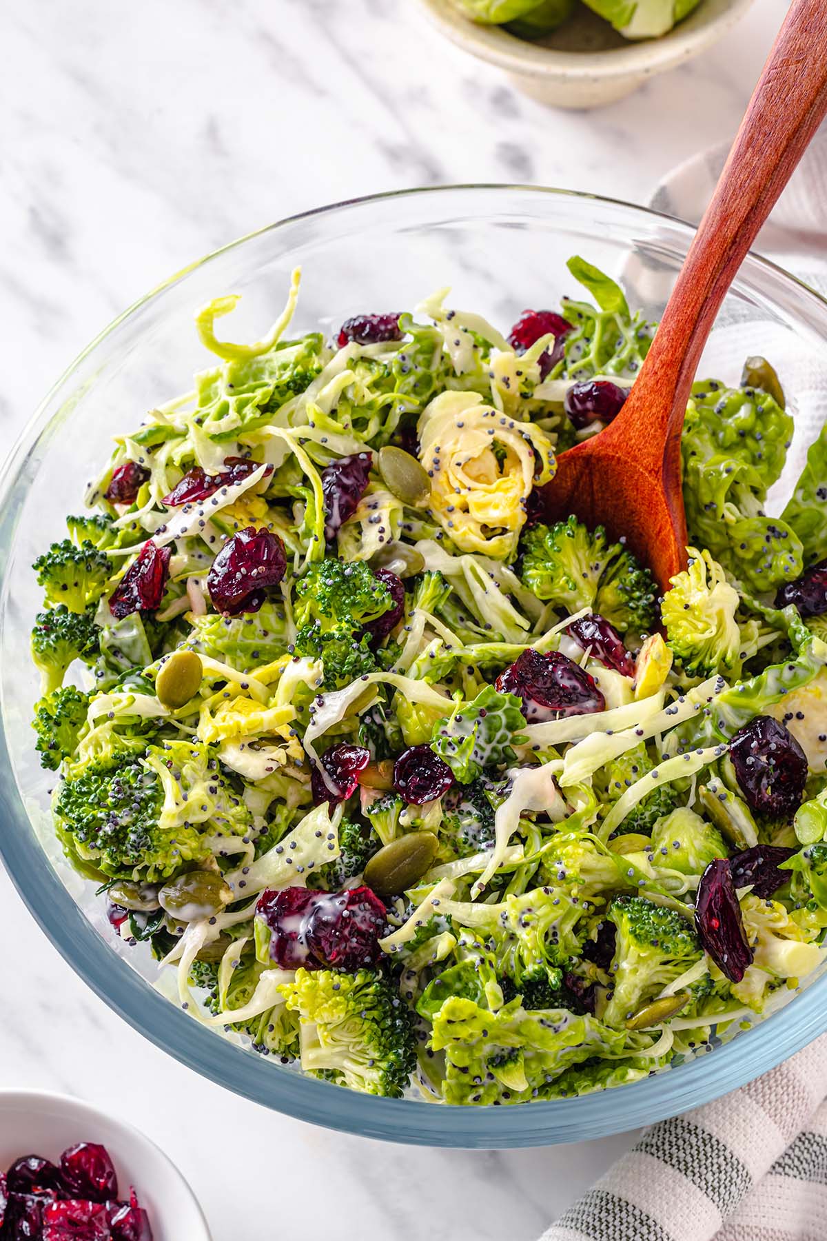 Broccoli Salad with Cranberries and poppy seed dressing