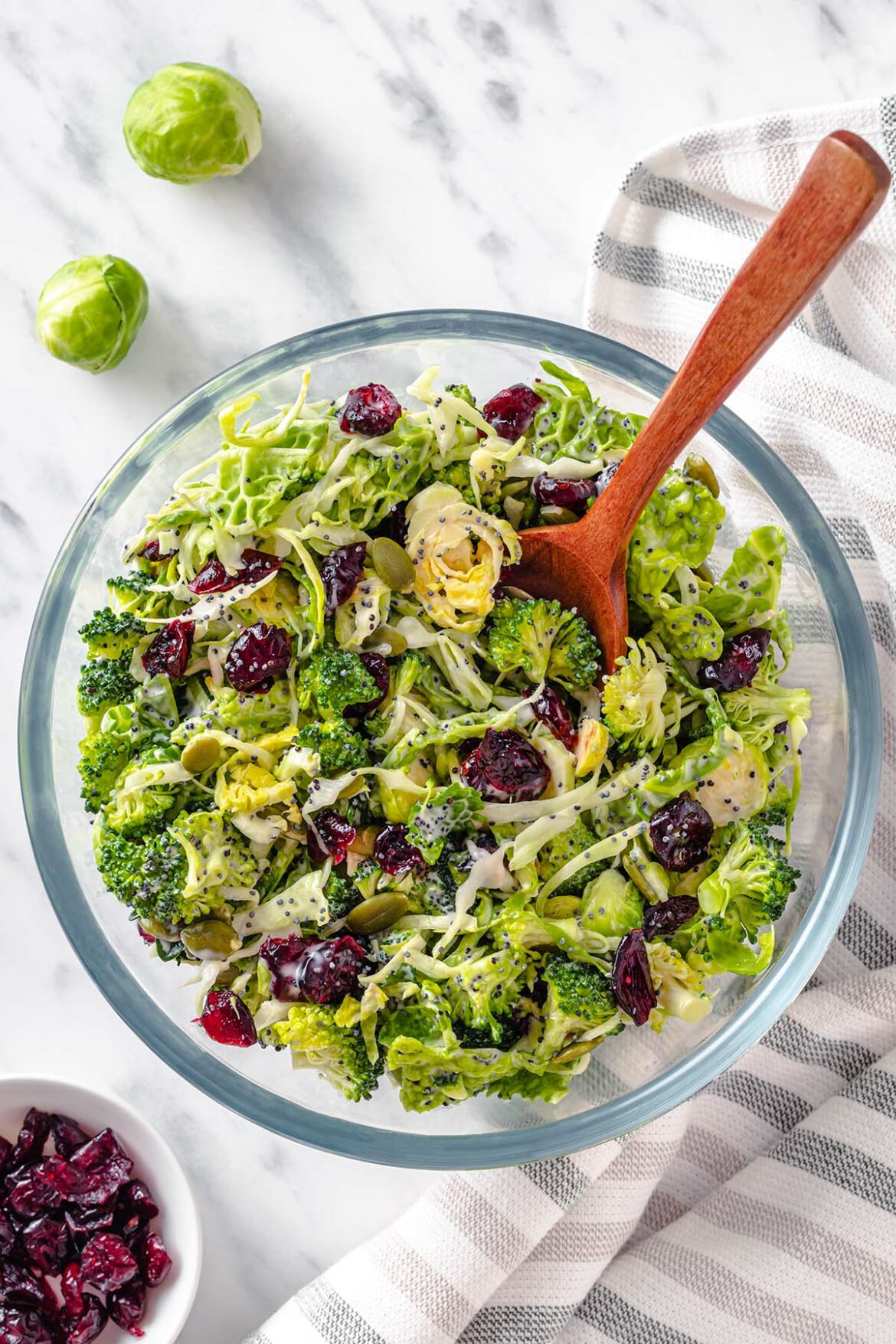 Broccoli Salad With Cranberries And Poppy Seed Dressing 2661