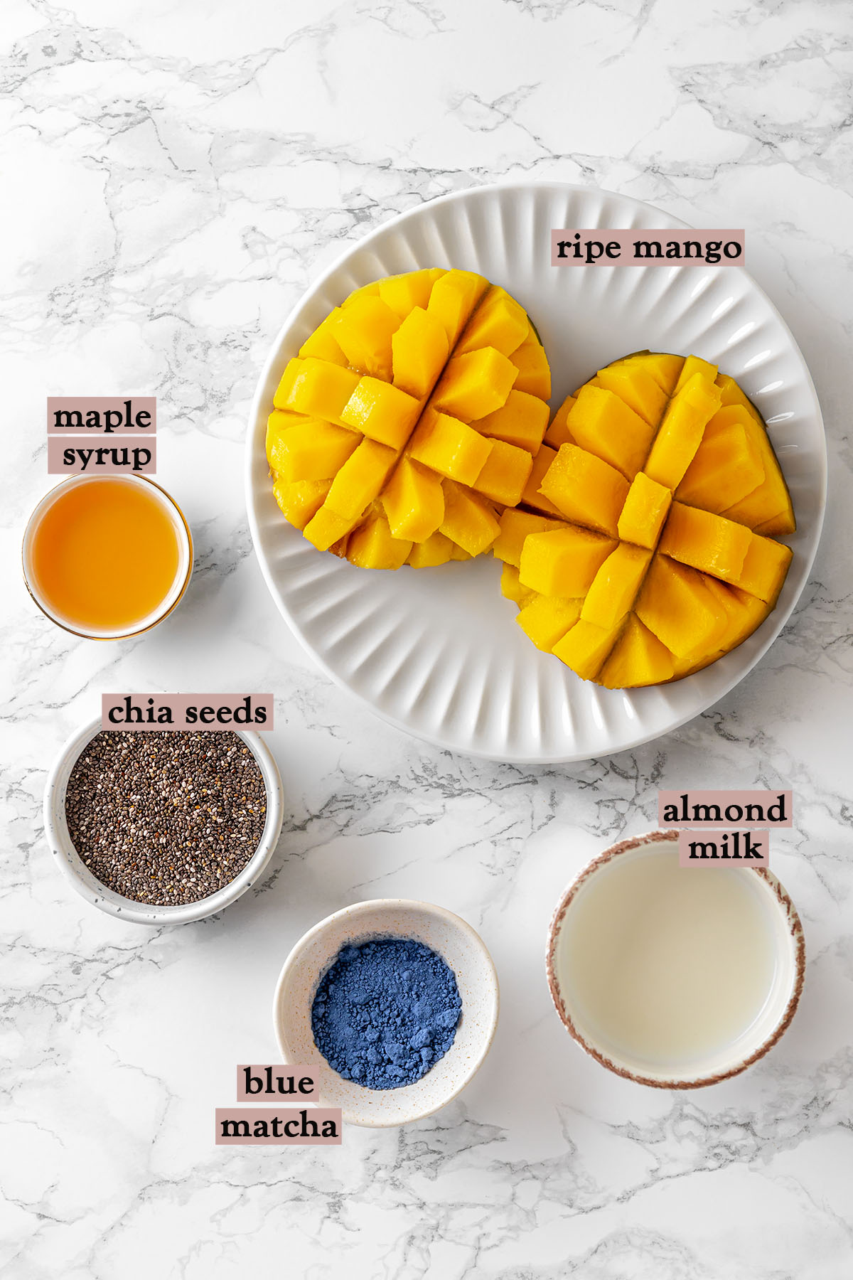 Ingredients for mango blue matcha chia pudding